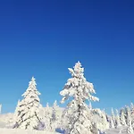 Arctic Aurora Luxury, Lehtikatu 2a 96100