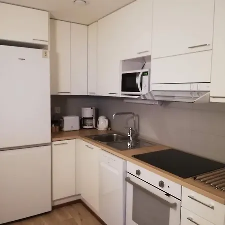 Arctic Aurora Luxury, Lehtikatu 2a 96100 * Rovaniemi