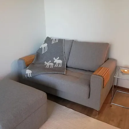 Arctic Aurora Luxury, Lehtikatu 2a 96100 *