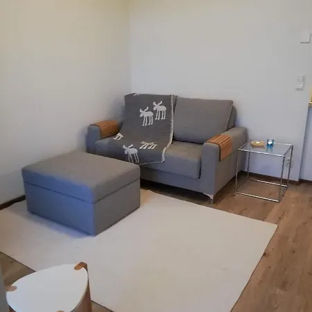 Arctic Aurora Luxury, Lehtikatu 2a 96100 *