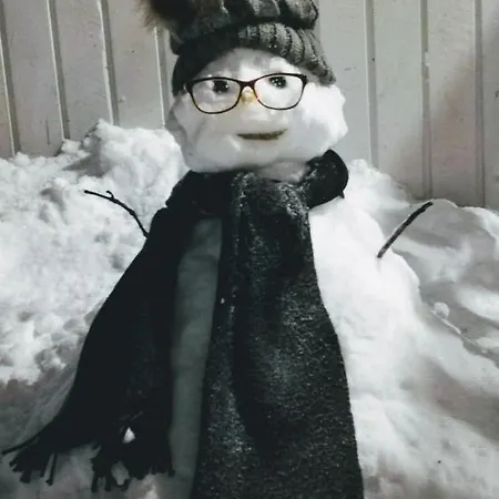 Arctic Aurora Luxury, Lehtikatu 2a 96100 *