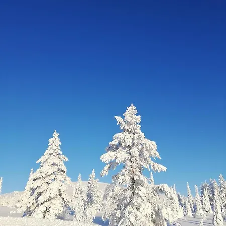 Arctic Aurora Luxury, Lehtikatu 2a 96100