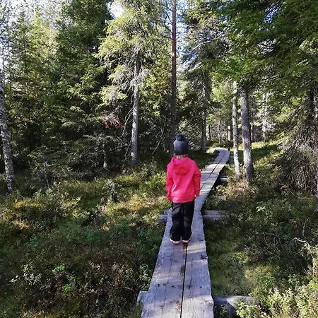 Appartement Arctic Aurora Luxury, Lehtikatu 2a 96100