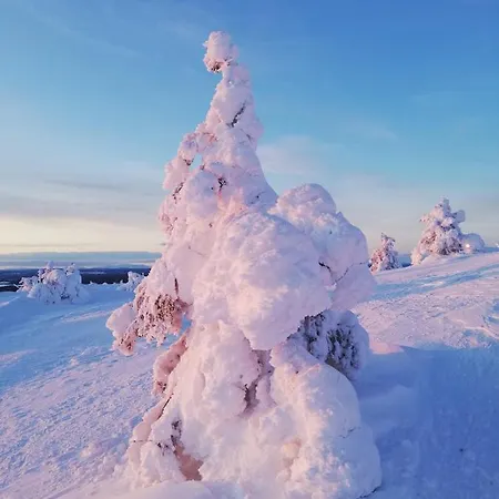 Appartement Arctic Aurora Luxury, Lehtikatu 2a 96100