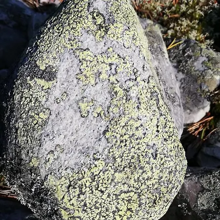 Appartement Arctic Aurora Luxury, Lehtikatu 2a 96100