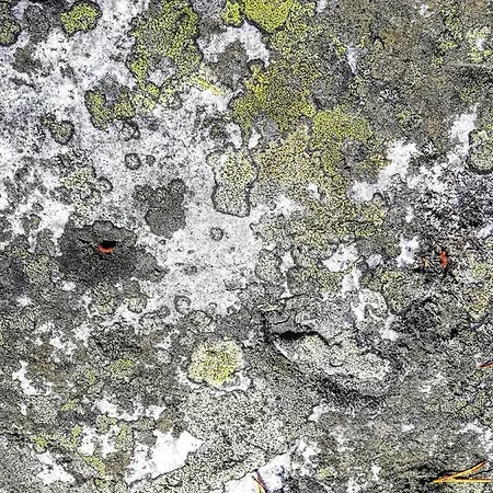 Arctic Aurora Luxury, Lehtikatu 2a 96100 Rovaniemi