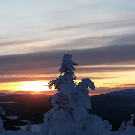 Arctic Aurora Luxury, Lehtikatu 2a 96100 * Rovaniemi