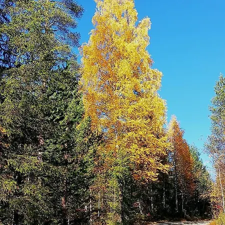 Appartamento Arctic Aurora Luxury, Lehtikatu 2a 96100 *