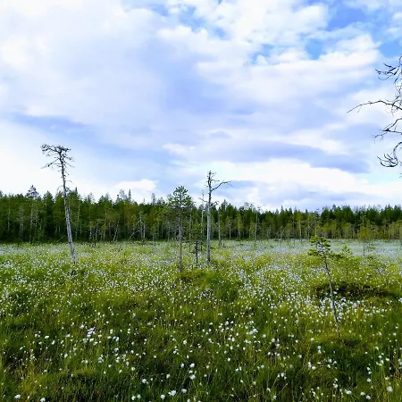 Arctic Aurora Luxury, Lehtikatu 2a 96100 Appartamento