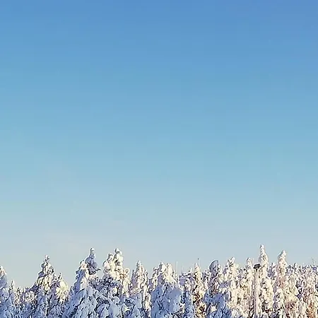 Arctic Aurora Luxury, Lehtikatu 2a 96100