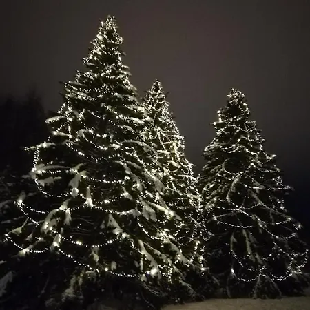 Arctic Aurora Luxury, Lehtikatu 2a 96100 Rovaniemi