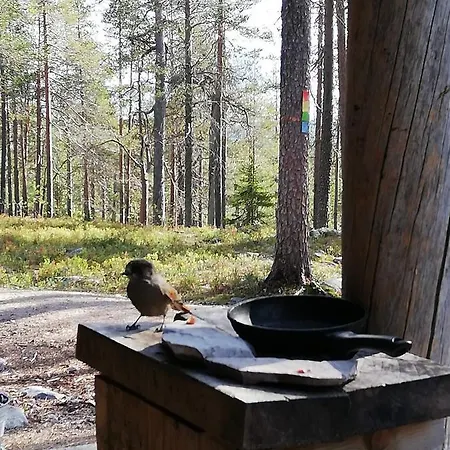 Appartement Arctic Aurora Luxury, Lehtikatu 2a 96100 Rovaniemi