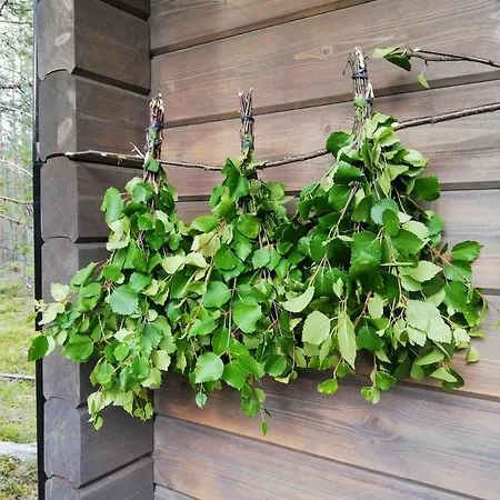 Arctic Aurora Luxury, Lehtikatu 2a 96100 * Rovaniemi