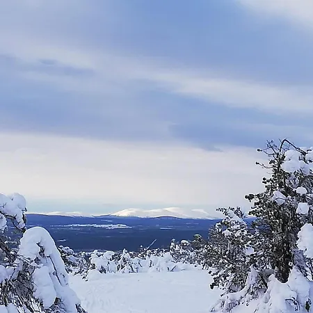 Arctic Aurora Luxury, Lehtikatu 2a 96100 Appartement