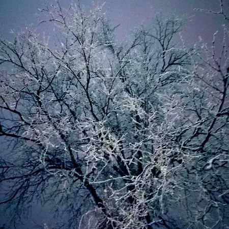 Arctic Aurora Luxury, Lehtikatu 2a 96100 *