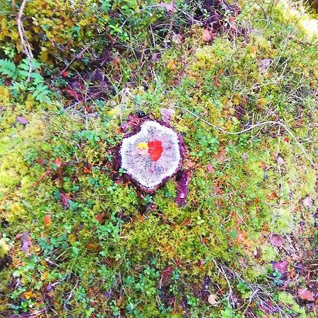 Arctic Aurora Luxury, Lehtikatu 2a 96100