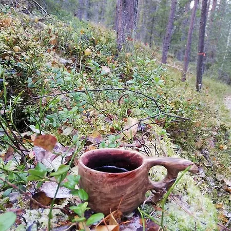 Appartement Arctic Aurora Luxury, Lehtikatu 2a 96100 Rovaniemi